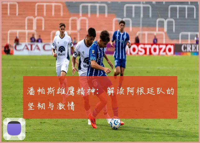 潘帕斯雄鹰精神：解读阿根廷队的坚韧与激情