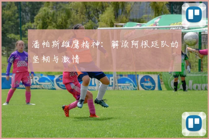 潘帕斯雄鹰精神：解读阿根廷队的坚韧与激情