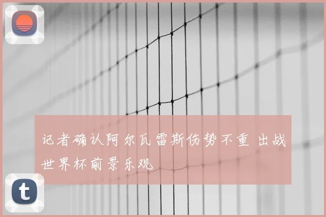 记者确认阿尔瓦雷斯伤势不重 出战世界杯前景乐观
